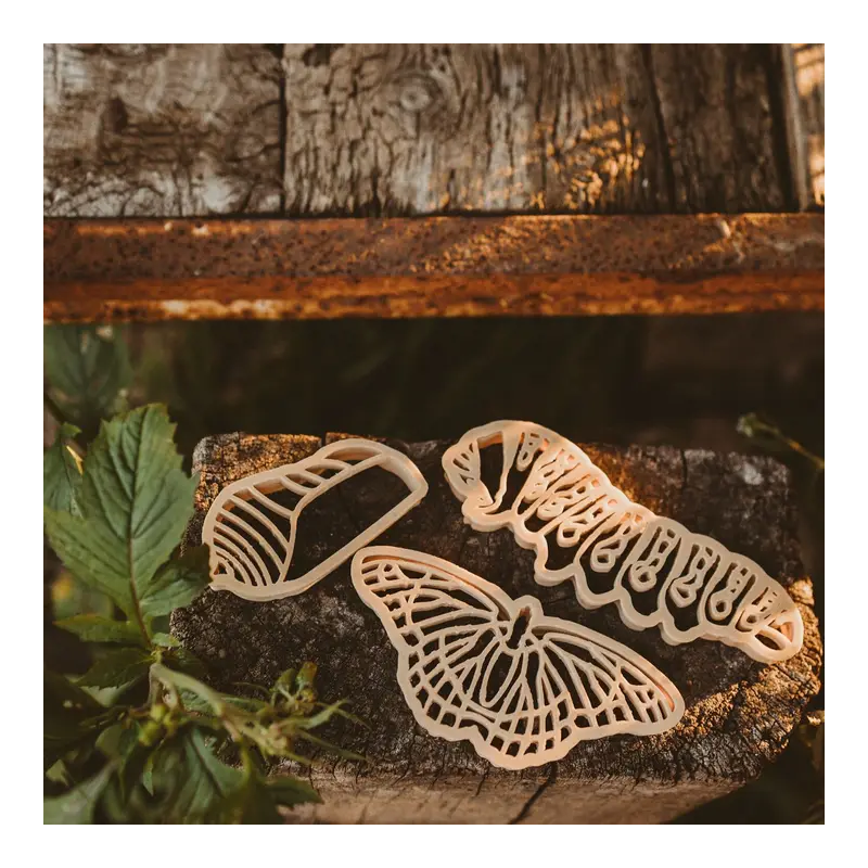 Formine per pasta modellabile ciclo vitale della farfalla...