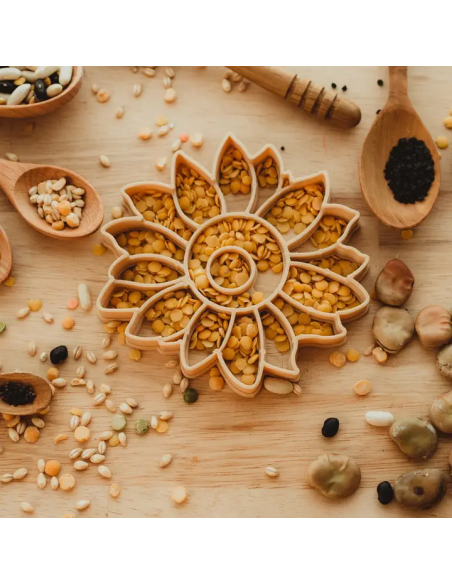 Formine per pasta modellabile girasole - Kinfolk Pantry