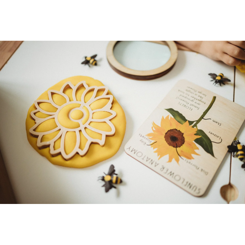 Formine per pasta modellabile girasole -...