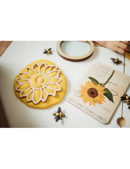Formine per pasta modellabile girasole - Kinfolk Pantry