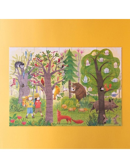 Night & day in the forest