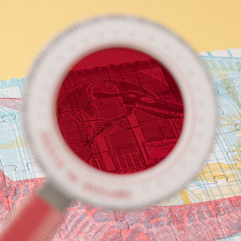 Discover the dinosaurs