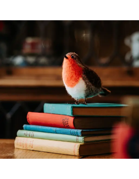 Kit creativo in lana cardata - pettirosso