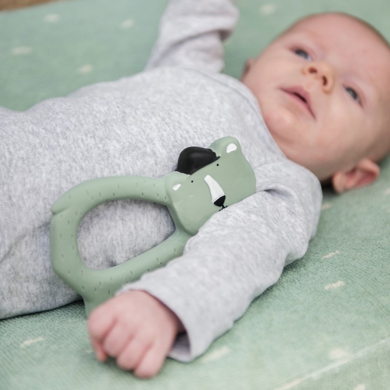 Massaggia gengive - Mr Orso polare