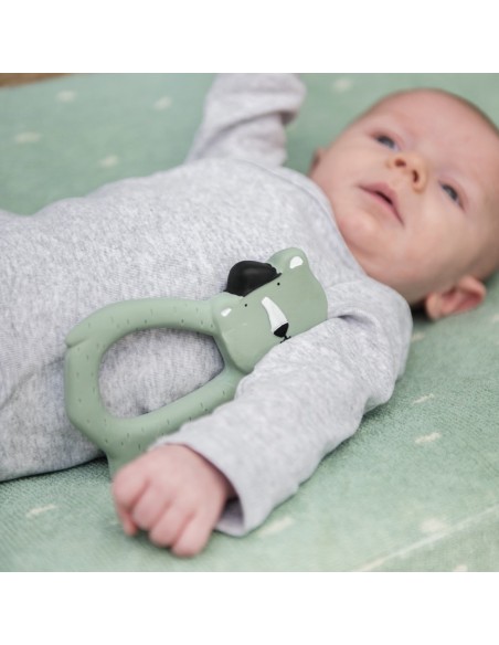 Massaggia gengive - Mr Orso polare