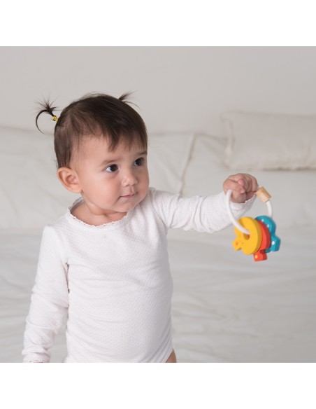Baby Key Rattle Plan Toys