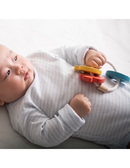 Baby Key Rattle Plan Toys