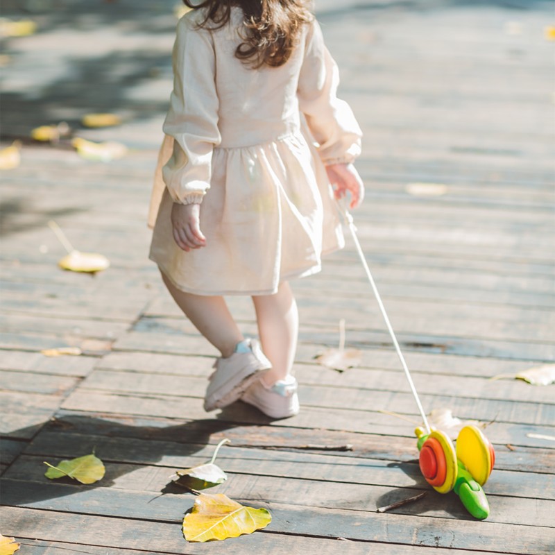 Pull-Along Snail Plan Toys