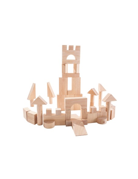 50 Unit Blocks - Plan Toys