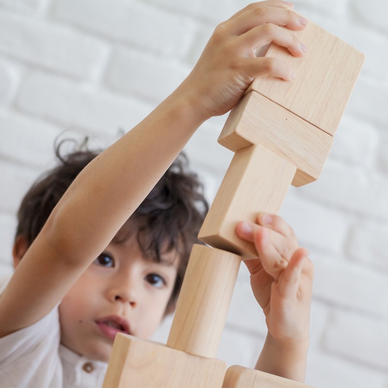 50 Unit Blocks - Plan Toys