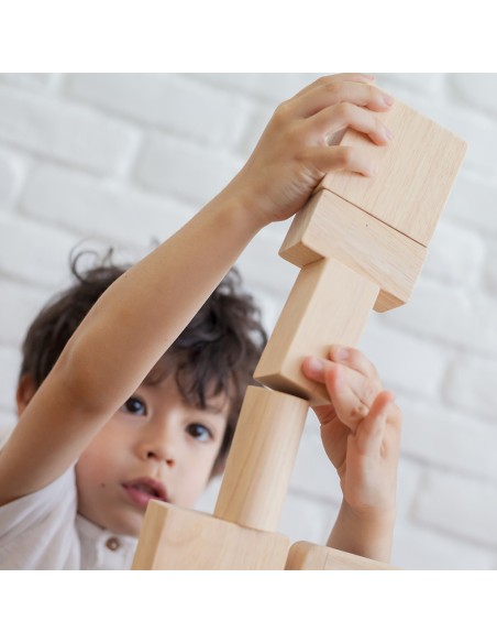 50 Unit Blocks - Plan Toys